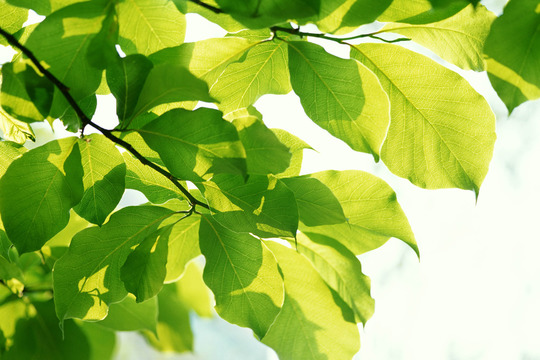 結婚したいのかわからない 結婚相談所は埼玉県さいたま市のポルトヌール